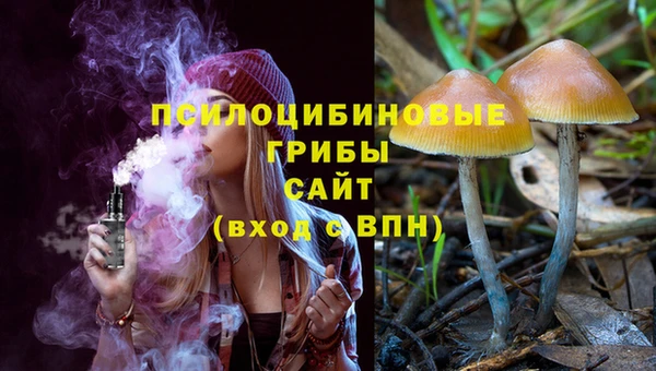 ECSTASY Покровск