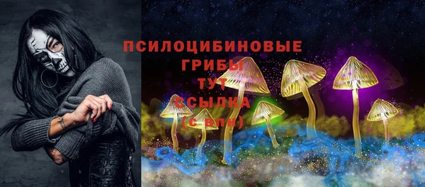 ECSTASY Покровск