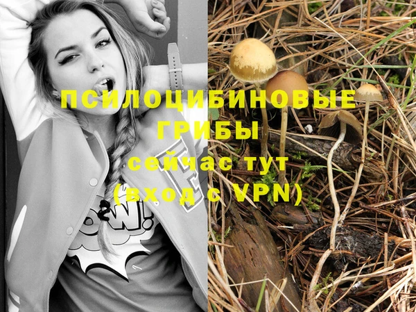 ПСИЛОЦИБИНОВЫЕ ГРИБЫ Покров