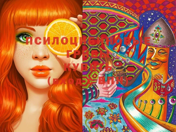 ECSTASY Покровск