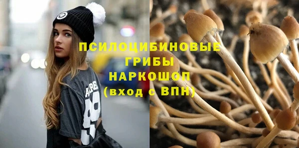 ECSTASY Покровск