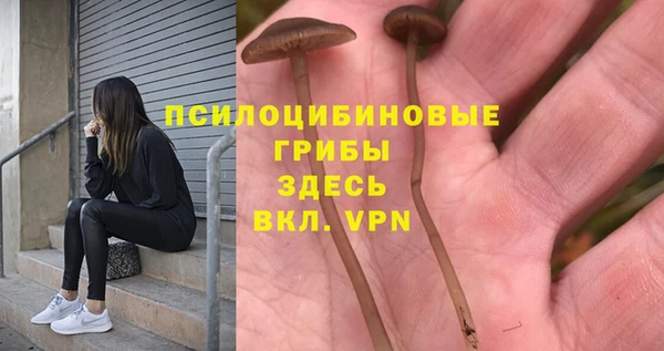 ECSTASY Покровск